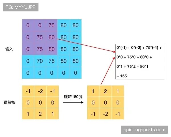 干扰球国际规则差异的具体条文深度解析