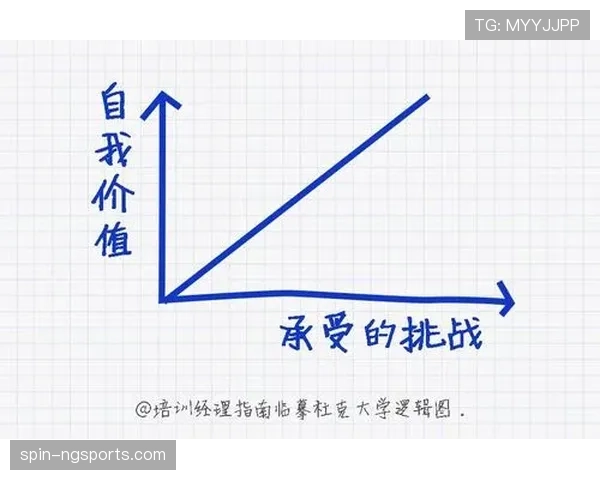 挑战判罚规则的具体定义是什么以及实际执行标准详解